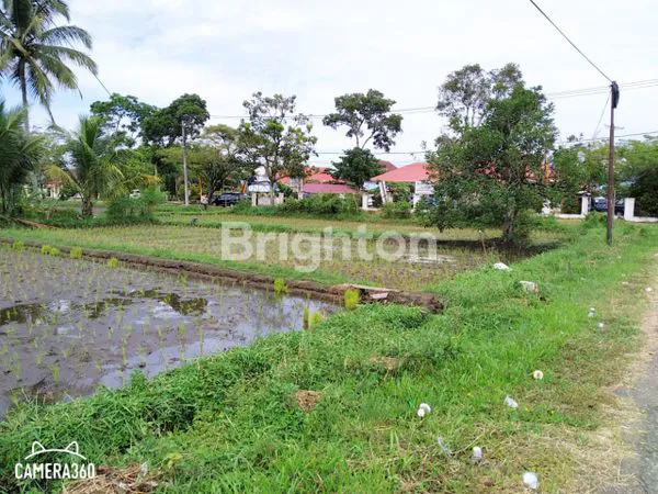 image TANAH SAWAH STRATEGIS 4146M² DI PAYAKUMBUH (3)