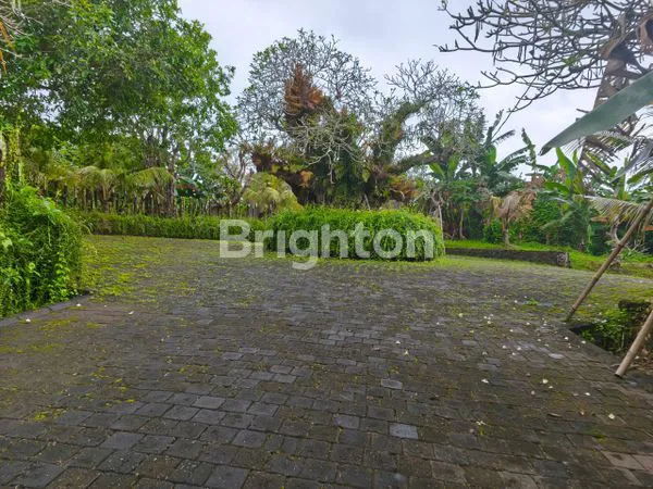 image TANAH KAVLING SIYUT GIANYAR ROW JALAN 14 M (5)