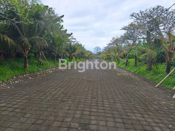 image TANAH KAVLING SIYUT GIANYAR ROW JALAN 14 M (3)