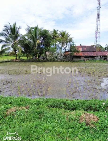 image TANAH SAWAH STRATEGIS 4146M² DI PAYAKUMBUH (5)