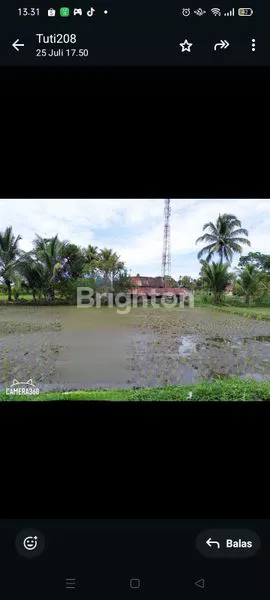 image TANAH SAWAH STRATEGIS 4146M² DI PAYAKUMBUH (7)