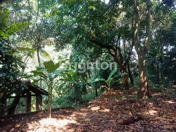 image DIJUAL TANAH LUAS & STRATEGIS – CIPAYUNG, JAKARTA TIMUR (6)