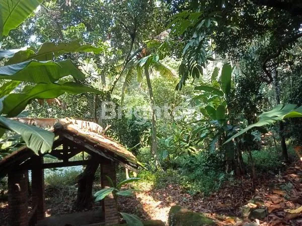 image DIJUAL TANAH LUAS & STRATEGIS – CIPAYUNG, JAKARTA TIMUR (5)