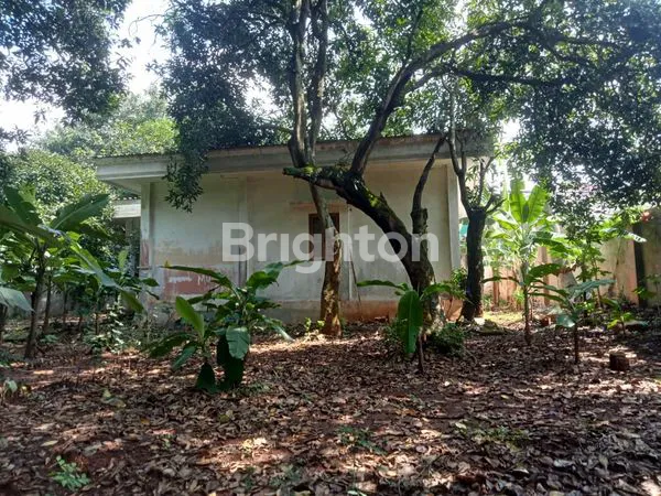 image DIJUAL TANAH STRATEGIS 3.000 M² - CIPAYUNG, JAKARTA TIMUR (5)