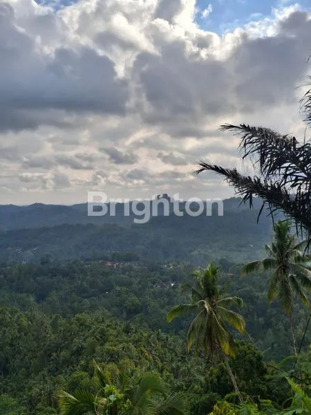 image TANAH DISEWAKAN DI KARANG ASEM – LUAS 2,85 HEKTAR, COCOK UNTUK PERKEMAHAN, GLAMPING, ATAU VILLA (1)