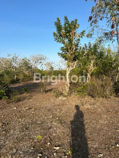 image TANAH VIEW LAUT DI PANDAWA, 45 ARE – ZONA PARIWISATA, IDEAL UNTUK VILLA ATAU BEACH CLUB EKSKLUSIF (2)