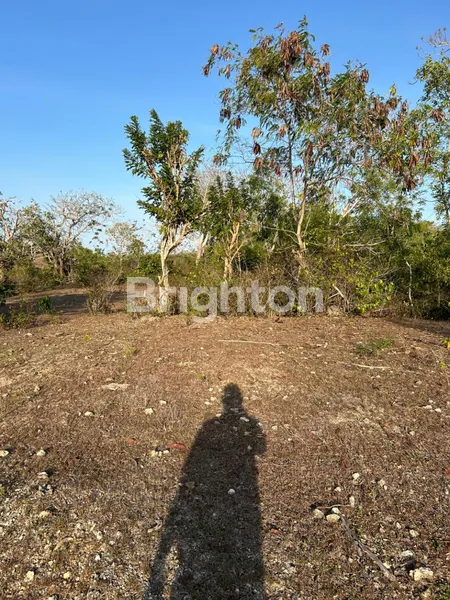 image TANAH VIEW LAUT DI PANDAWA, 45 ARE – ZONA PARIWISATA, IDEAL UNTUK VILLA ATAU BEACH CLUB EKSKLUSIF (4)