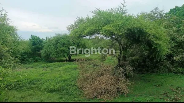 image TANAH VIEW LAUT DI PANDAWA – 2,34 HEKTARE, ZONA PARIWISATA, SIAP SEWA 25 TAHUN (1)