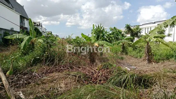 image SEWA TANAH UNTUK INVESTASI DAERAH CANGGU (1)