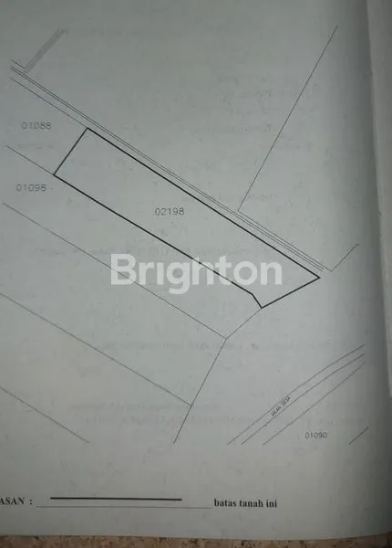 image SAWAH DI PANDAAN (2)