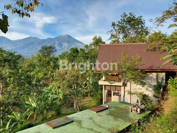 image TANAH DI DAERAH TRAWAS (5)