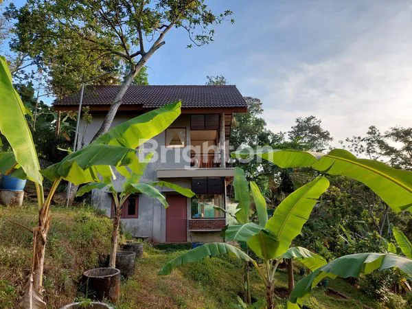 image TANAH DI DAERAH TRAWAS (4)