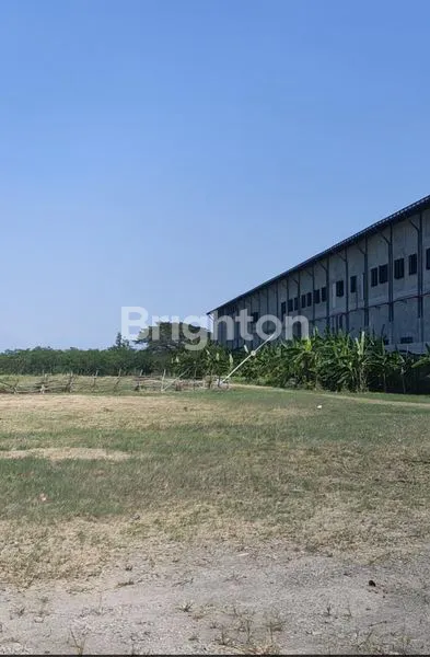 image TANAH STRATEGIS SIAP BANGUN TEPI JALAN NASIONAL KALIWUNGU KENDAL JAWA TENGAH  (3)