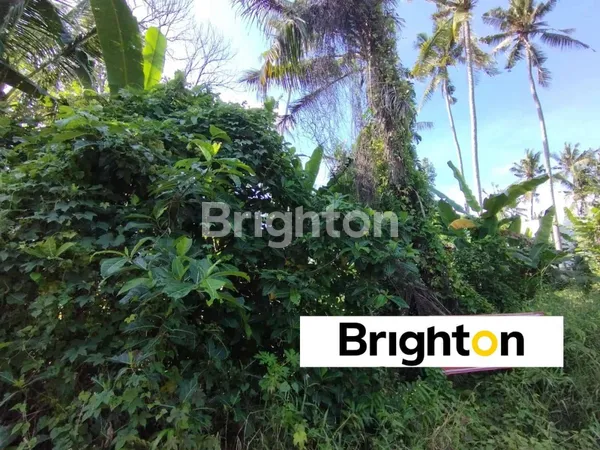 image SEWA 30 TAHUN TANAH 1630M2 KEDUNGU PASEKAN TABANAN (2)