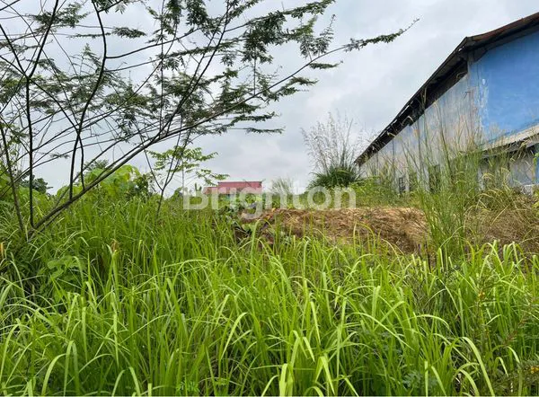 image DI JUAL TANAH LUAS SIAP BANGUN DI AREA PERUMAHAN GRIYA MUKTI (1)