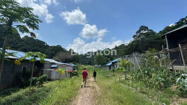 image DIJUAL TANAH (4)