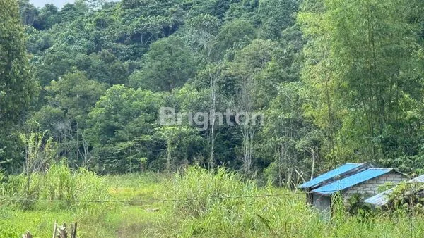 image DIJUAL TANAH (3)