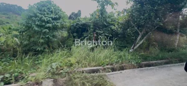 image DIJUAL TANAH (2)