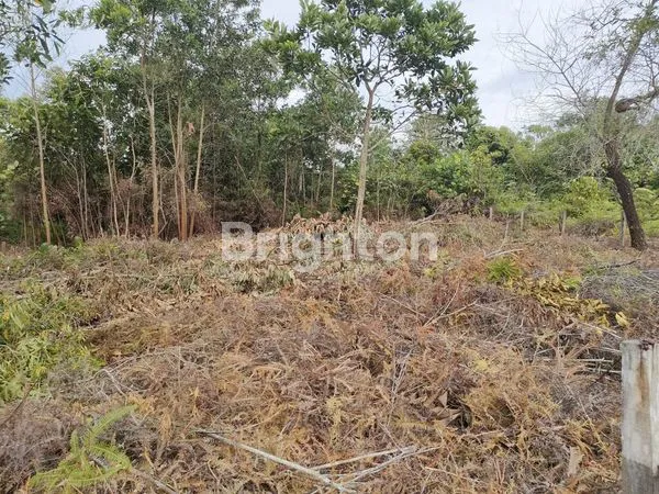 image DIJUAL TANAH KAVLING DI JLN SYARIFUDIN YOES SEPINGGAN BALIKPAPAN  (2)