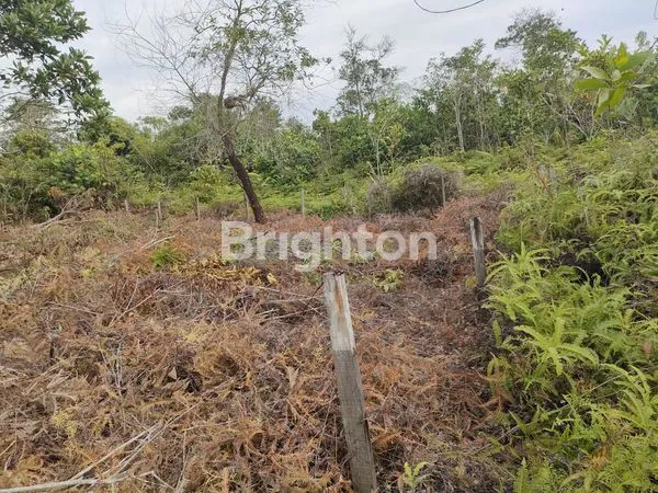 image DIJUAL TANAH KAVLING DI JLN SYARIFUDIN YOES SEPINGGAN BALIKPAPAN  (1)