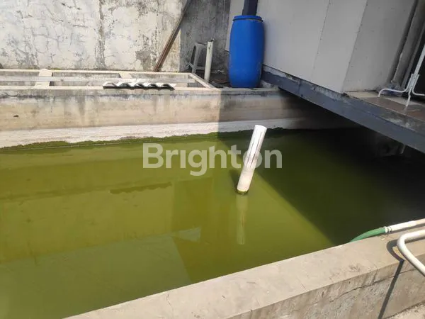 image JUAL RUMAH PUSAT KOTA, SAYAP BYPASS SOEKARNO HATTA, BANDUNG (5)