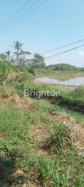 image TANAH 5 HEKTAR DI KABUPATEN TANGERANG (3)