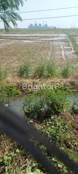 image TANAH 5 HEKTAR DI KABUPATEN TANGERANG (2)