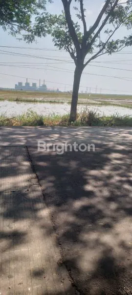 image TANAH 5 HEKTAR DI KABUPATEN TANGERANG (1)