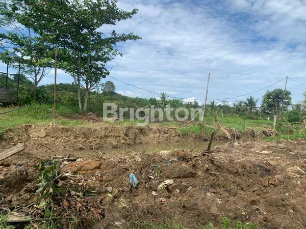 image DI JUAL TANAH (3)