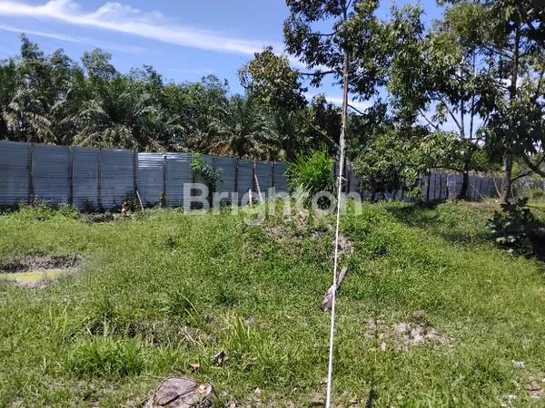 image TANAH /KEBUN DURIAN (3)