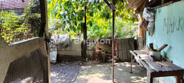 image RUMAH DIJUAL STRATEGIS TENGAH KOTA PEKANBARU  (5)