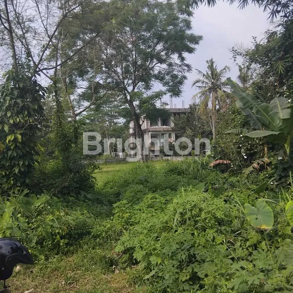 image TANAH PREMIUM 1000M² DEKAT UII KALIURANG, COCOK INVESTASI & HUNIAN (1)