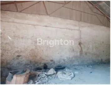 image GUDANG GRESIK  (4)