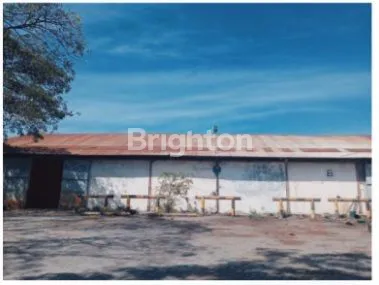 image GUDANG GRESIK (1)