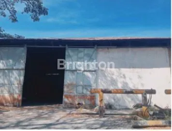 image GUDANG GRESIK (3)