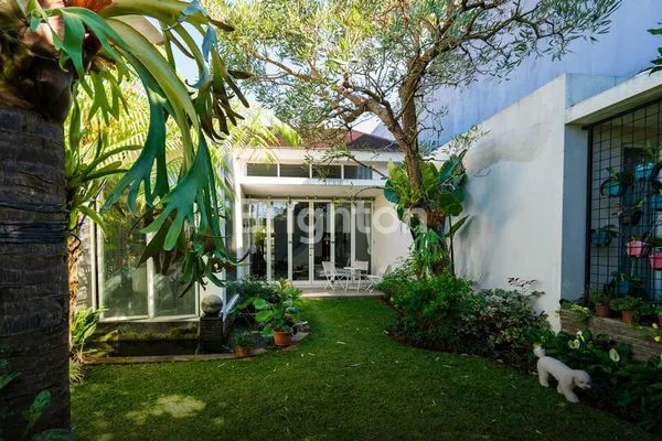 image RUMAH MINIMALIS TROPIS ISTANA DIENG MALANG (6)