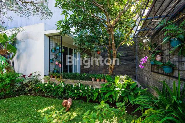 image RUMAH MINIMALIS TROPIS ISTANA DIENG MALANG (7)