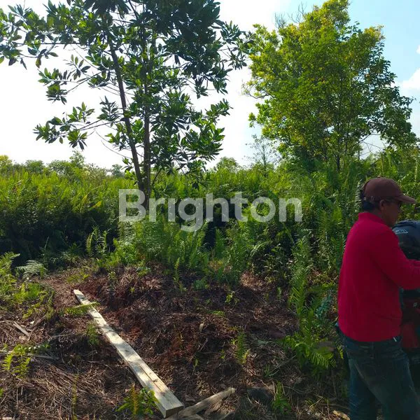 image TANAH UNTUK INVESTASI DI JL. PARIS 2, PONTIANAK (2)