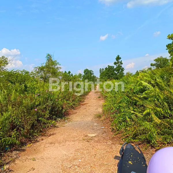 image TANAH UNTUK INVESTASI DI JL. PARIS 2, PONTIANAK (1)