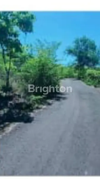 image LAHAN POTENSIAL DI KAWASAN WISATA PANDAWA, KUTA SELATAN – COCOK UNTUK VILLA ESTATE ATAU PENGEMBANGAN KOMERSIAL (3)