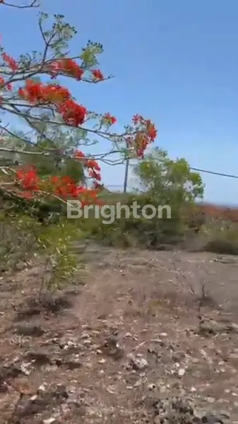 image TANAH DENGAN OCEAN VIEW LUAS DI KAWASAN PANDAWA – COCOK UNTUK INVESTASI VILLA, RESORT, ATAU USAHA PARIWISATA (1)