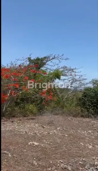 image TANAH DENGAN OCEAN VIEW LUAS DI KAWASAN PANDAWA – COCOK UNTUK INVESTASI VILLA, RESORT, ATAU USAHA PARIWISATA (2)