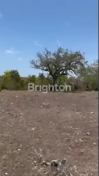 image TANAH DENGAN OCEAN VIEW LUAS DI KAWASAN PANDAWA – COCOK UNTUK INVESTASI VILLA, RESORT, ATAU USAHA PARIWISATA (3)