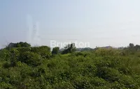 Jual tanah industri bojoneoro serang banten 5ha 5