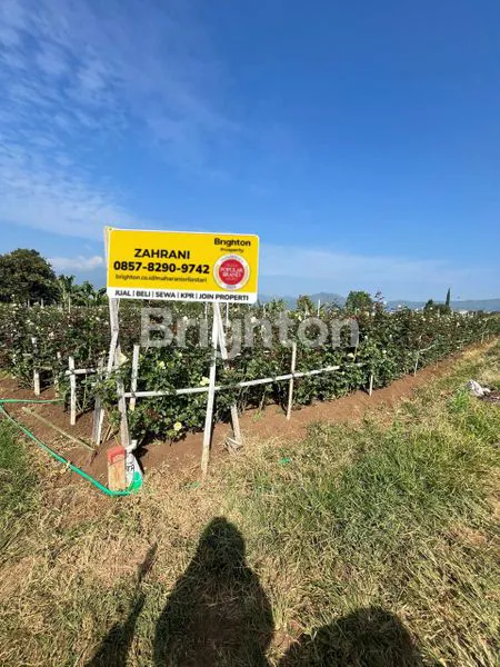 image TANAH KEBUN PRODUKTIF DAERAH BUMIAJI KOTA BATU (2)
