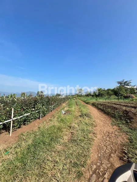 image TANAH KEBUN PRODUKTIF DAERAH BUMIAJI KOTA BATU (1)