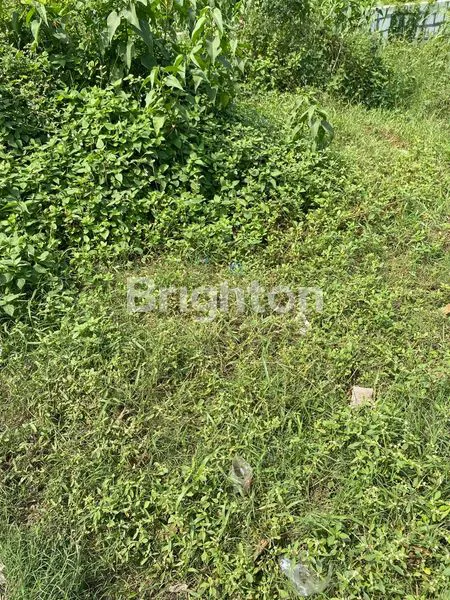 image KAVLING TANAH DI BAYLEAF NATURAL RESIDENCE MENGANTI GRESIK (1)