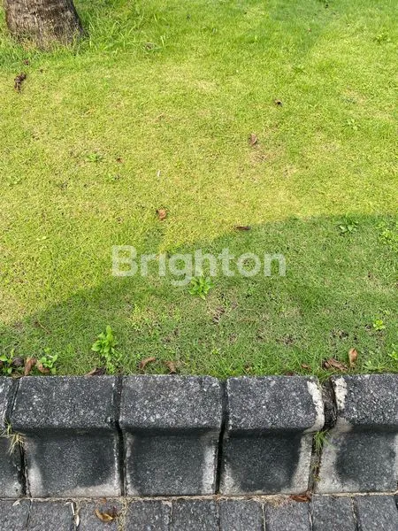 image TANAH DIJUAL DI RAYA PETIKEN DRIYOREJO, GRESIK (1)