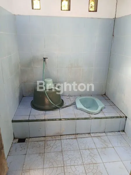 image RUMAH JOGLO DENGAN HALAMAN LUAS HABIS RENOV DI MENURAN  BAKI (6)