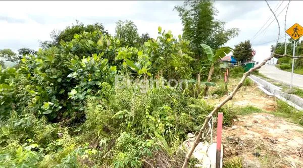 image TANAH KARIANGAU PINGGIR JALAN (2)